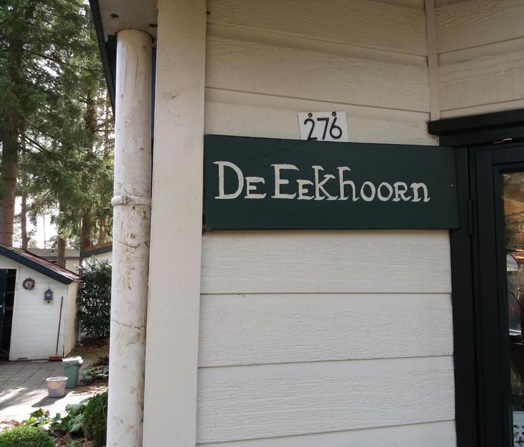 Chalet De Eekhoorn Diever Exterior photo